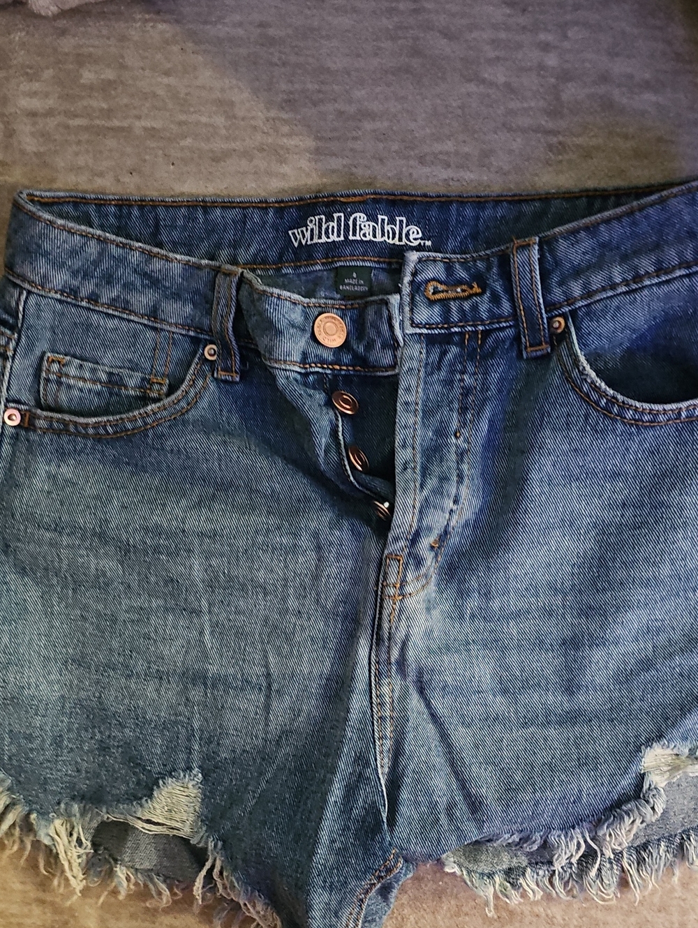 wild fable Blue Frayed High-Rise Denim Shorts